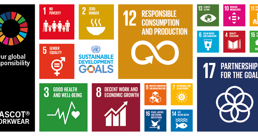 The 17 global goals